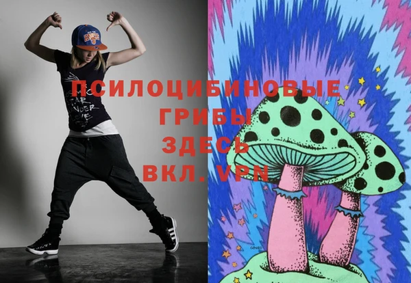 дурь Верхний Тагил