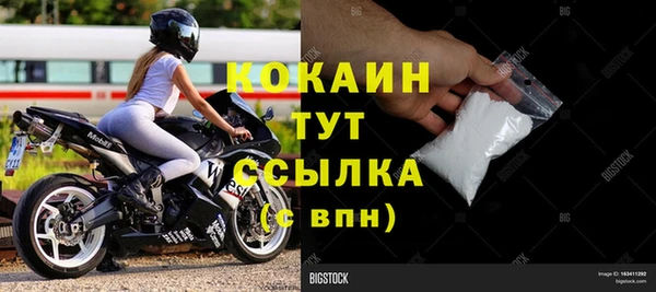 индика Ступино
