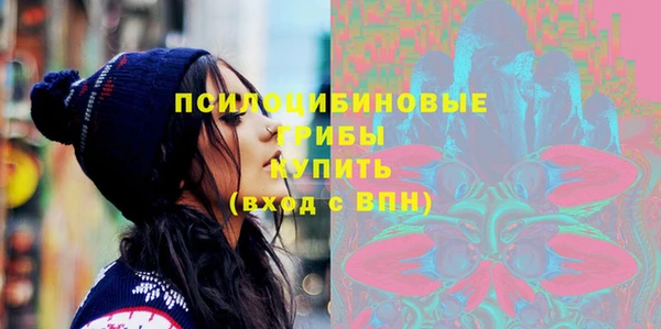 бутират Богородицк