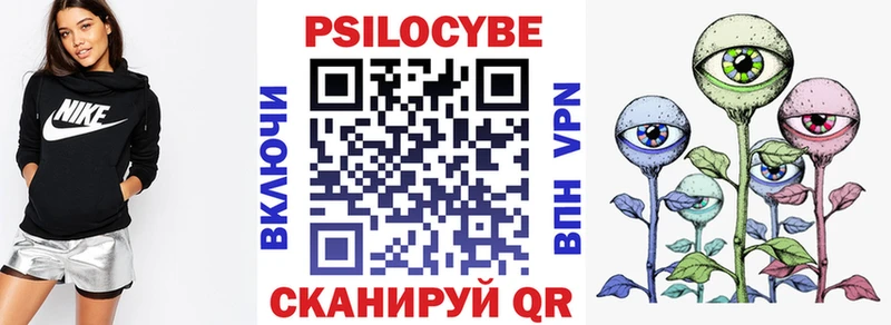ОМГ ОМГ онион  Саяногорск  Псилоцибиновые грибы Psilocybe 