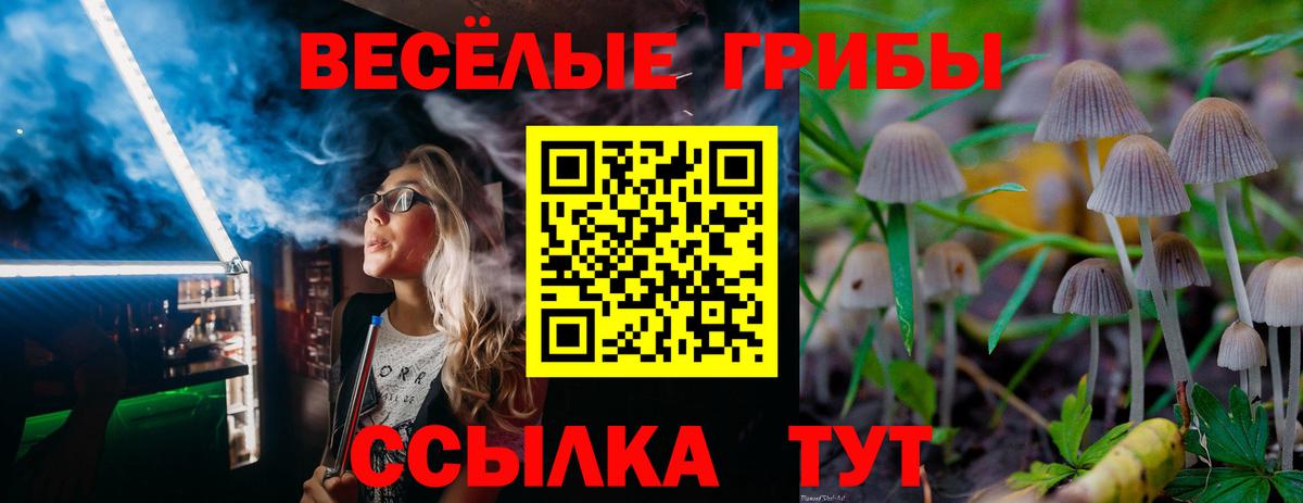 Галлюциногенные грибы прущие грибы  Вход с VPN  Саяногорск  Галлюциногенные грибы Magic Shrooms 